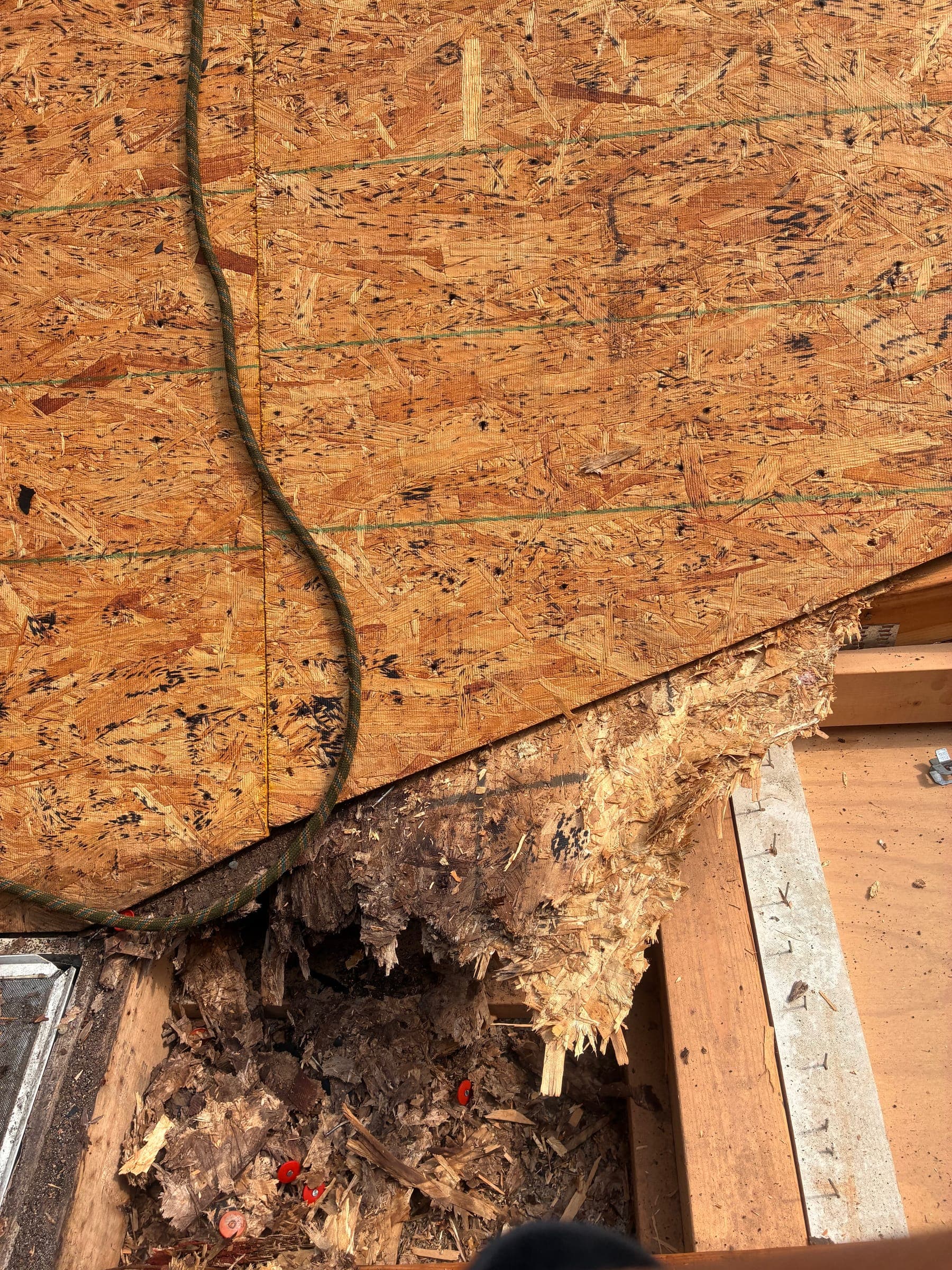 Rotted roof decking exposed after the old shingles were torn off